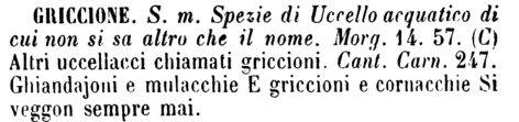 griccione