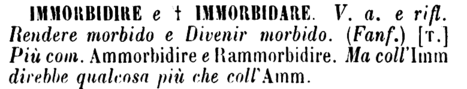 immorbidire