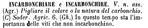 incarbonchiare