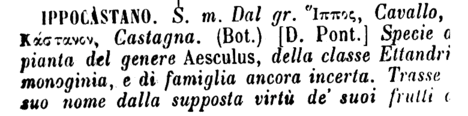 ippocastano