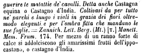 ippocastano