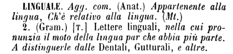 linguale