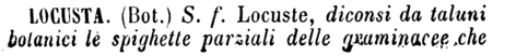 locusta-67369