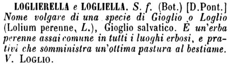 loglierella