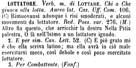 lottatore