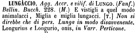 lungaccio