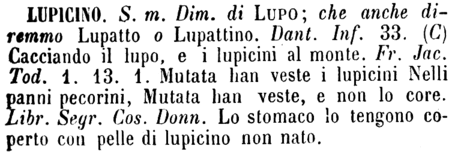 lupicino