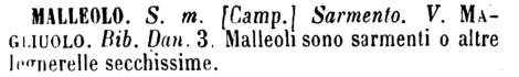 malleolo-68950