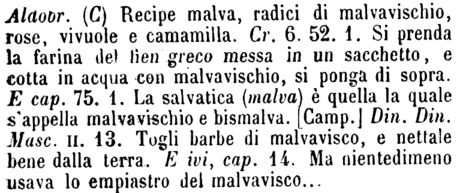 malvavischio