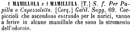 mamillola