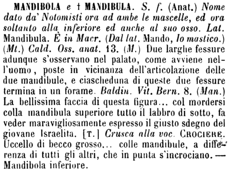 mandibola