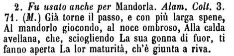 mandorlo