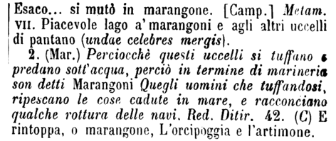 marangone