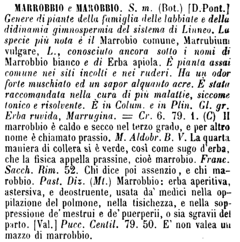 marrobbio