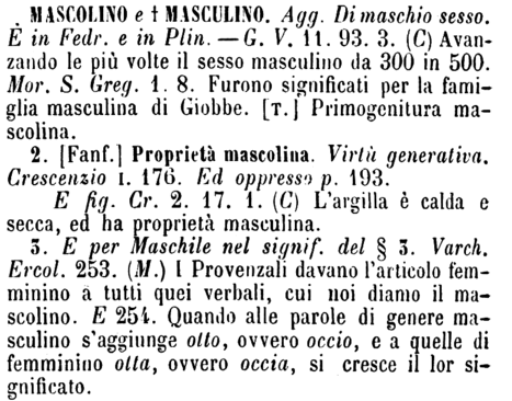 mascolino