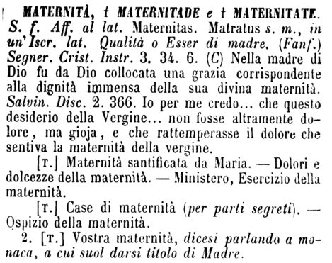 maternita