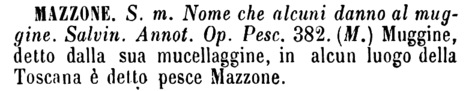 mazzone-70481