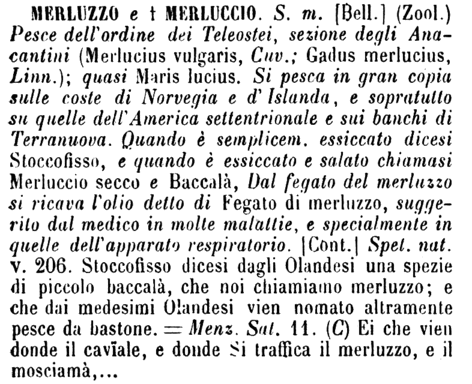 merluzzo-71270