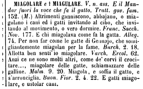 miagolare