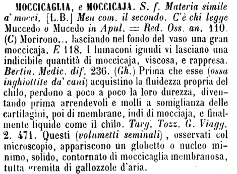 moccicaglia