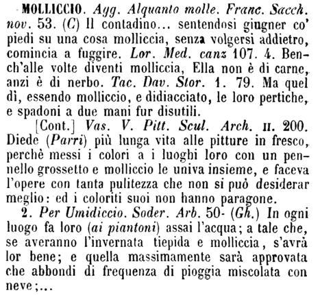 molliccio