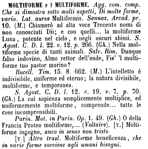 moltiforme