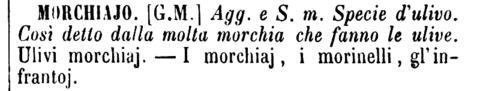 morchiajo