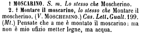 moscarino