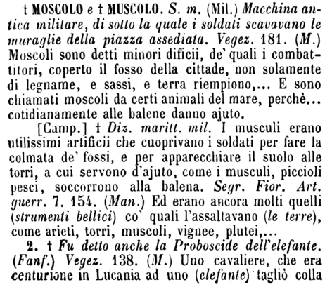 moscolo-73824