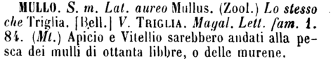 mullo-74127