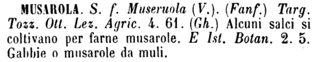 musarola