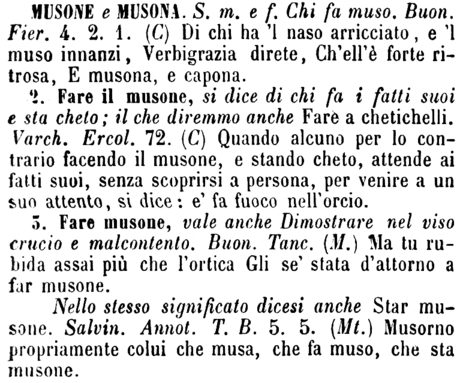 musone-74341