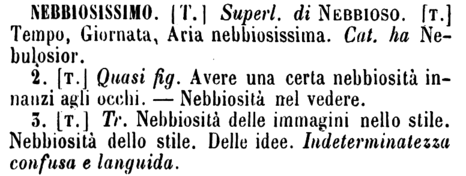 nebbiosissimo