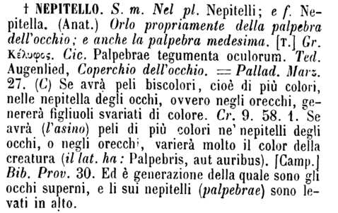 nepitello