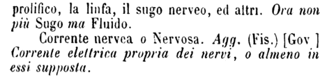 nerveo