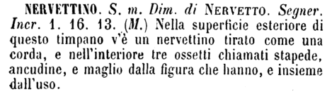 nervettino