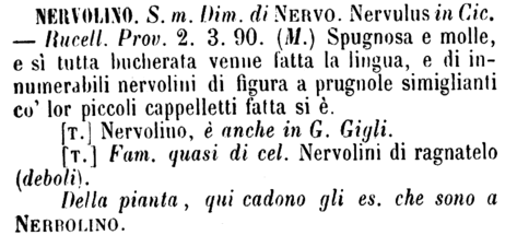 nervolino