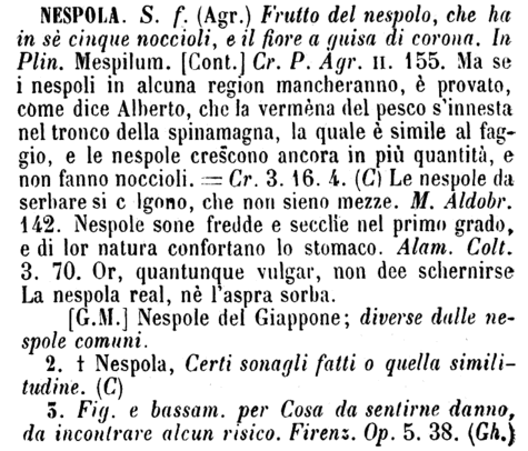 nespola