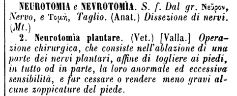 neurotomia