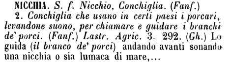 nicchia