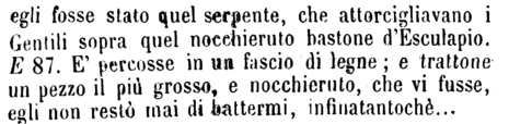 nocchieruto