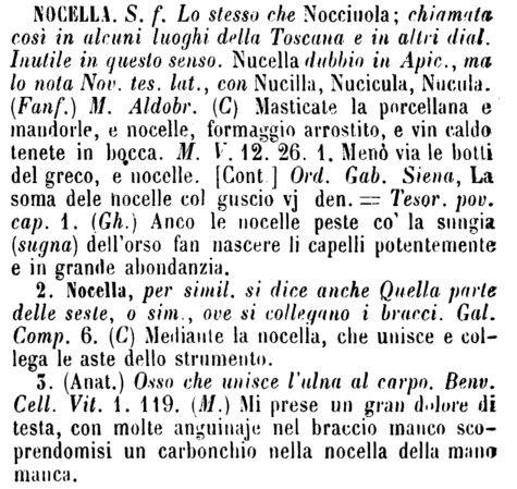 nocella