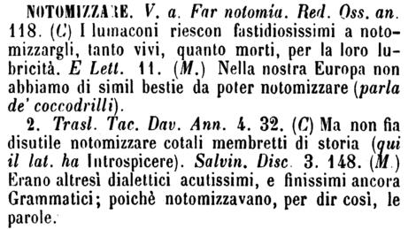 notomizzare