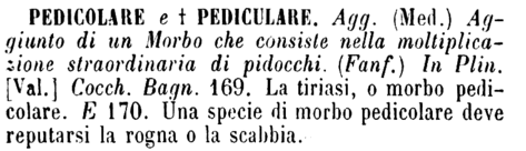 pedicolare