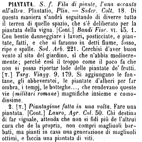 piantata