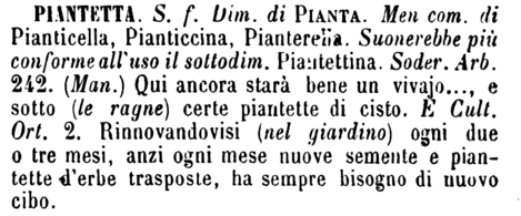 piantetta