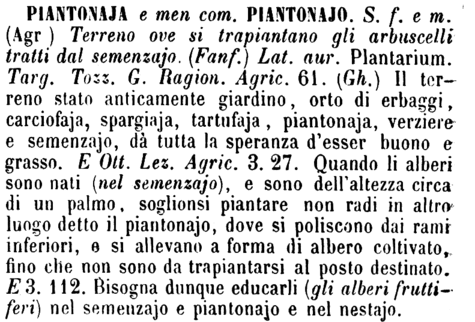 piantonaja