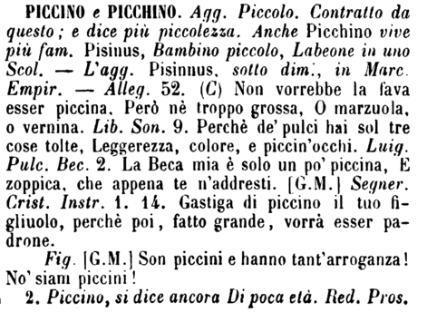 piccino