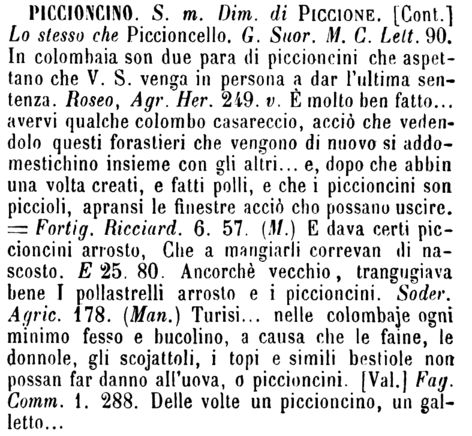 piccioncino