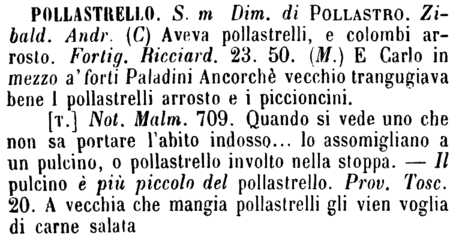 pollastrello